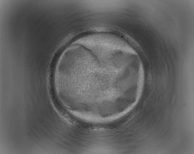 X0000075380730200610061838