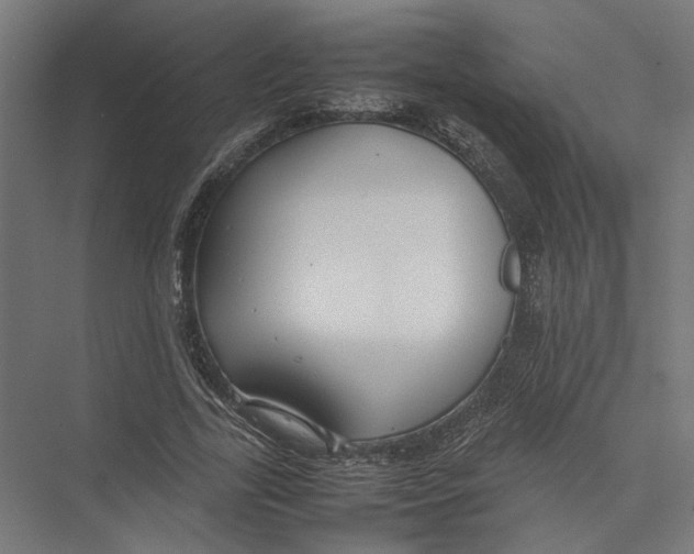 X0000075380731200610061838