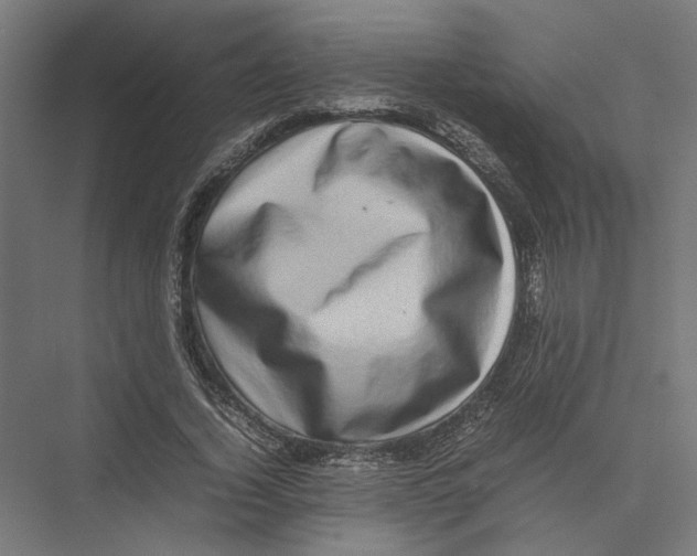 X0000075380732200610061838