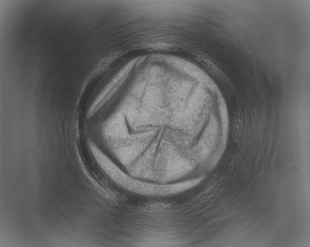 X0000075380734200610061838