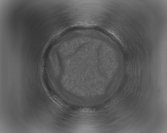 X0000075380736200610061838