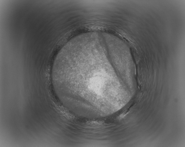 X0000075380737200610061838