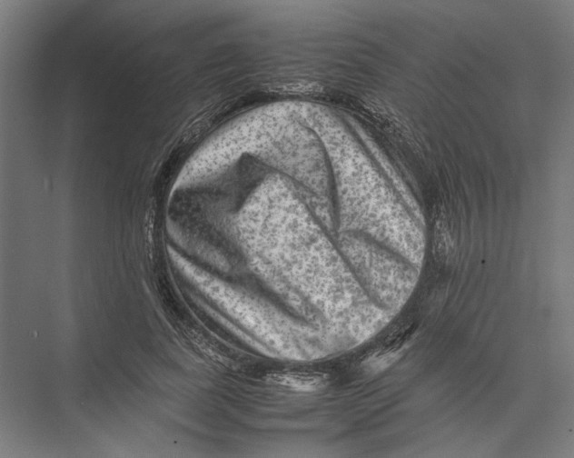 X0000075380739200610061838