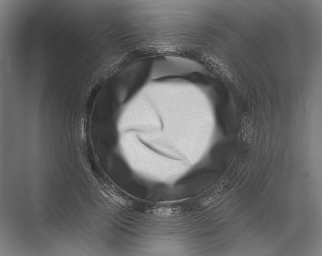 X0000075380740200610061838