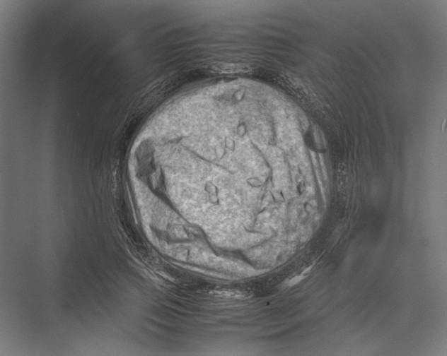 X0000075380741200610061838