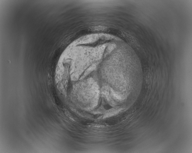 X0000075380743200610061838