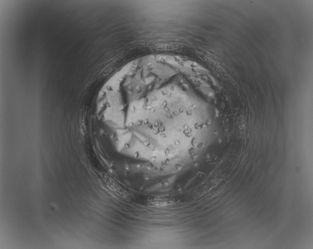 X0000075380746200610061838