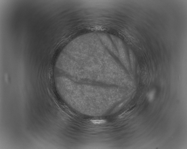 X0000075380747200610061838