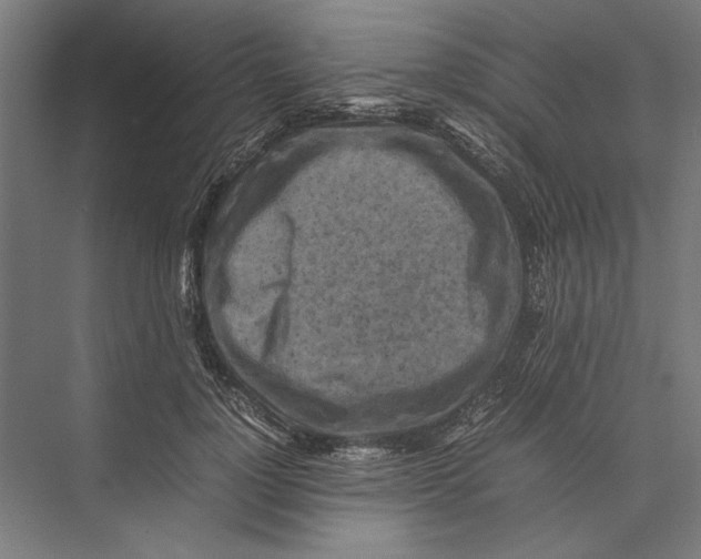 X0000075380748200610061838