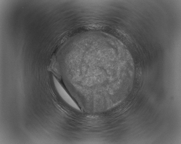 X0000075380749200610061838