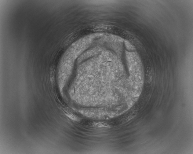 X0000075380753200610061838