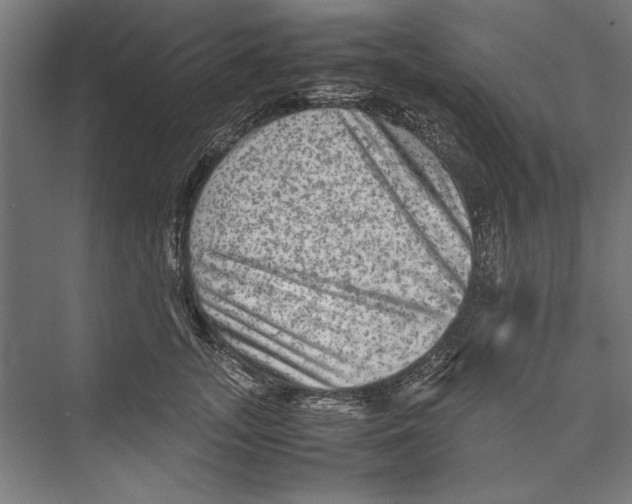 X0000075380755200610061838