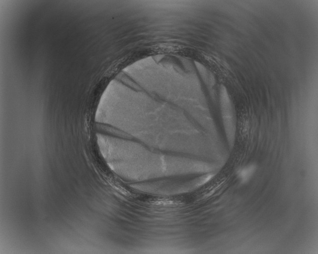 X0000075380759200610061838