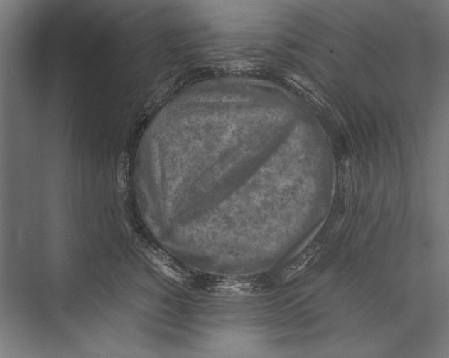 X0000075380760200610061838