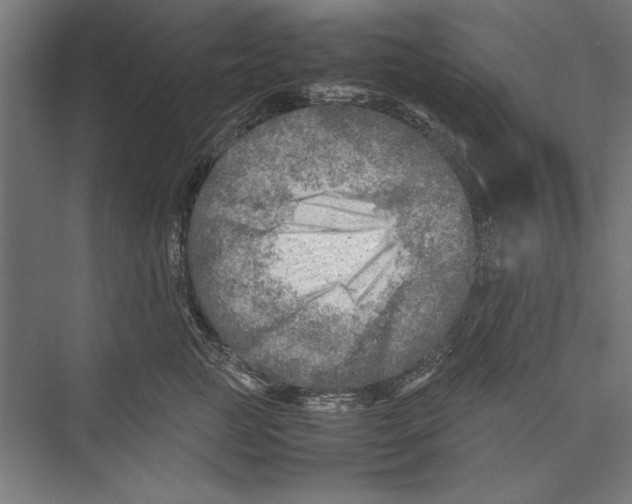 X0000075380761200610061838