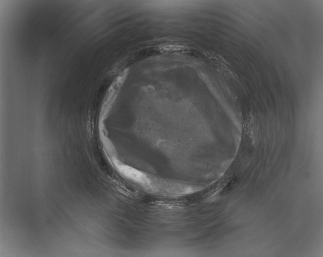 X0000075380763200610061839