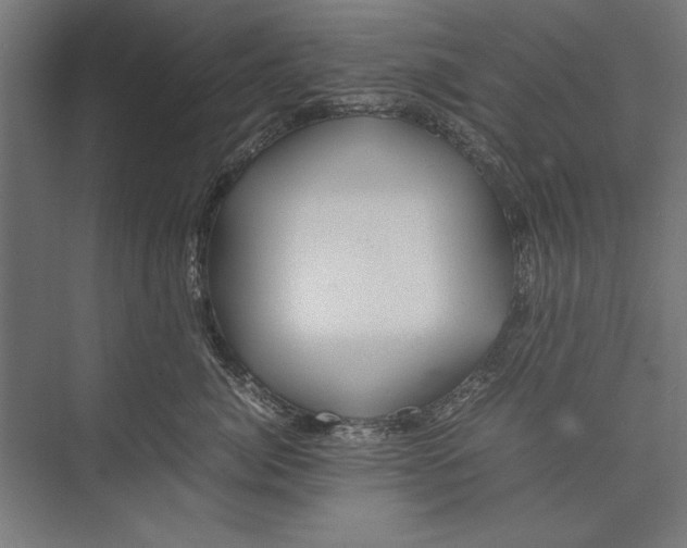 X0000075380764200610061839