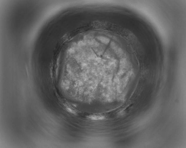 X0000075380765200610061839