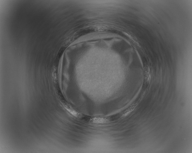 X0000075380766200610061839