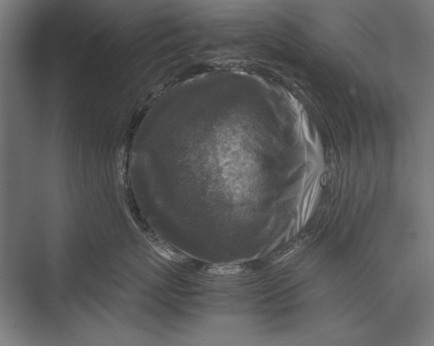 X0000075380767200610061839