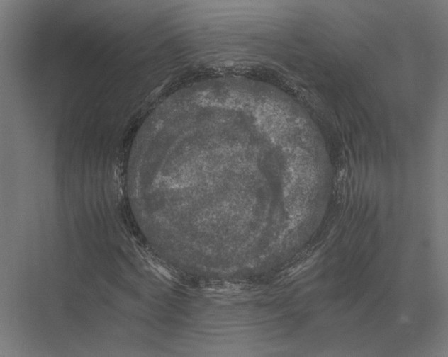 X0000075380772200610061838