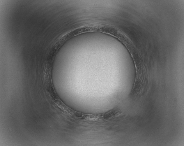 X0000075380773200610061838