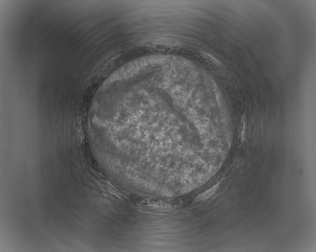 X0000075380774200610061838