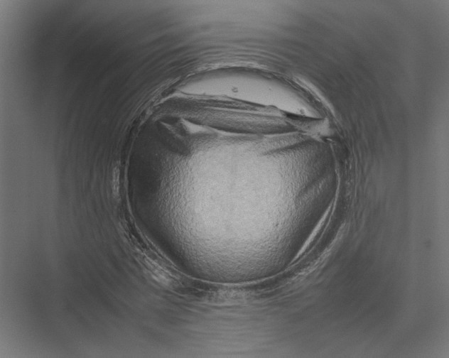 X0000075380777200610061838