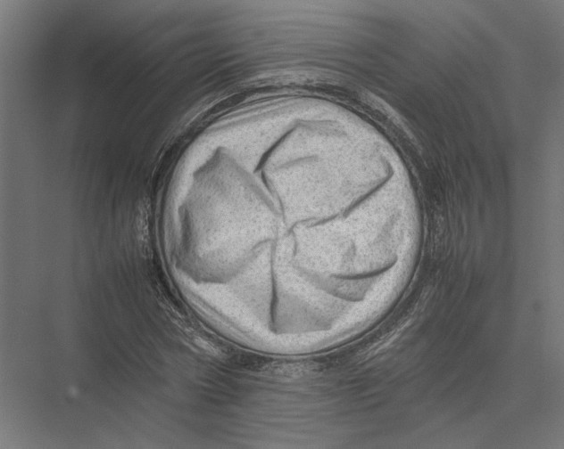 X0000075380778200610061838