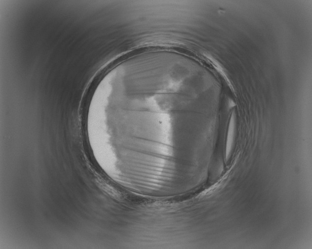 X0000075380779200610061838