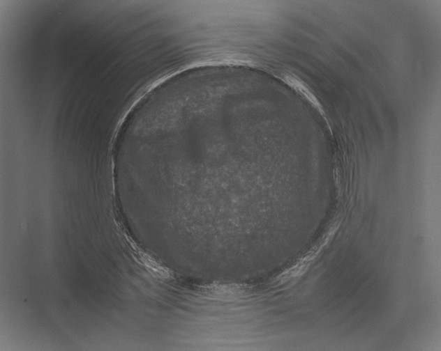 X0000075380781200610061838