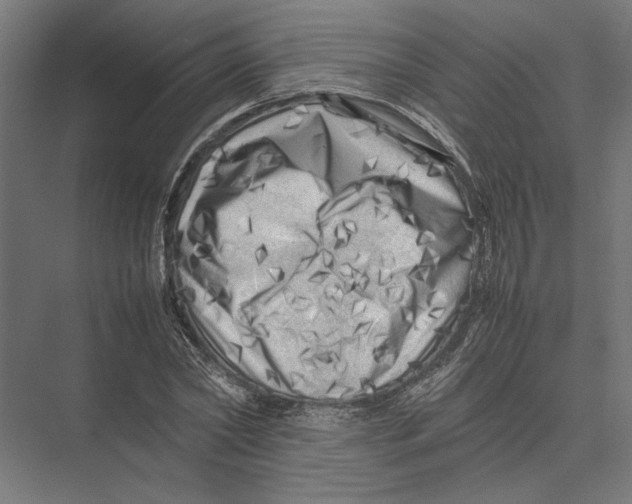 X0000075380782200610061838