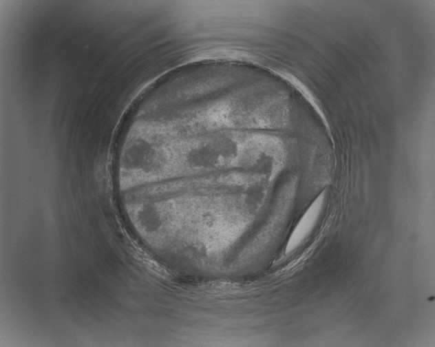 X0000075380783200610061838