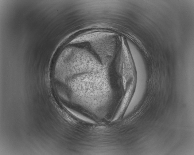 X0000075380784200610061838