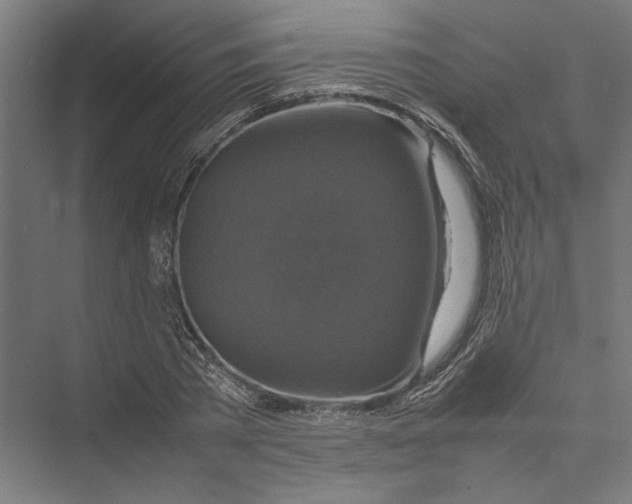 X0000075380785200610061838