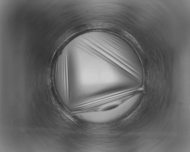 X0000075380786200610061838