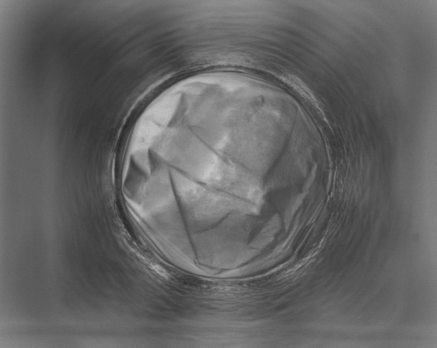 X0000075380790200610061837