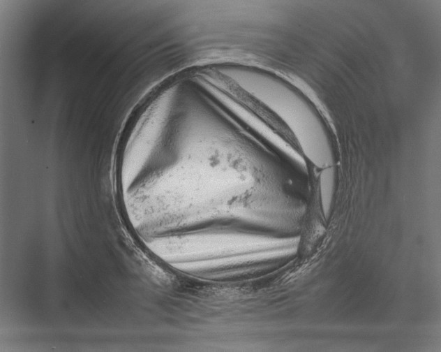 X0000075380791200610061837