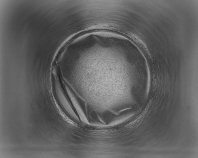 X0000075380792200610061837