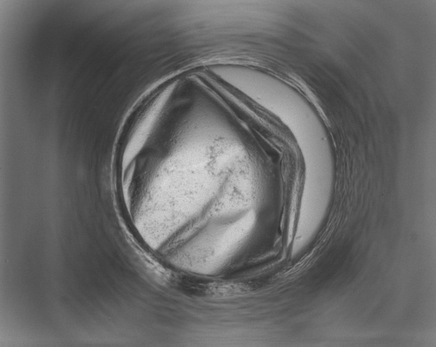 X0000075380795200610061837