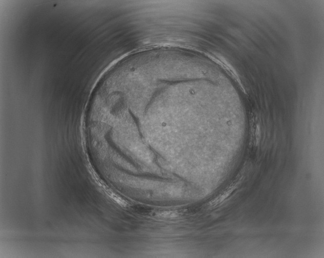 X0000075380798200610061837