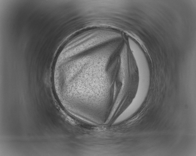 X0000075380799200610061837