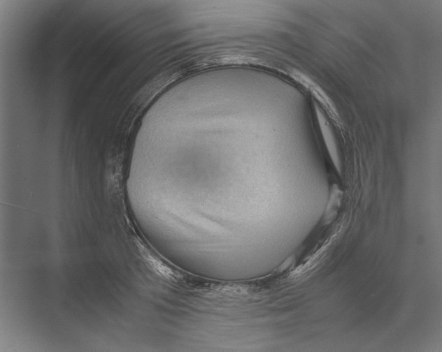 X0000075380801200610061837