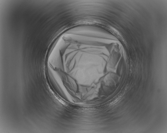 X0000075380802200610061837