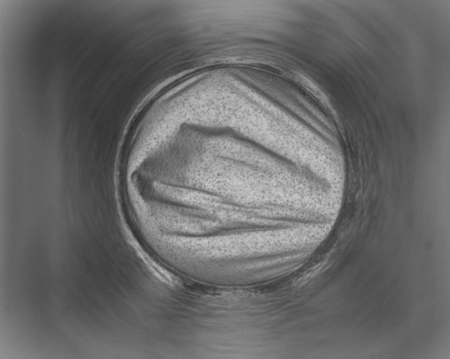 X0000075380803200610061837