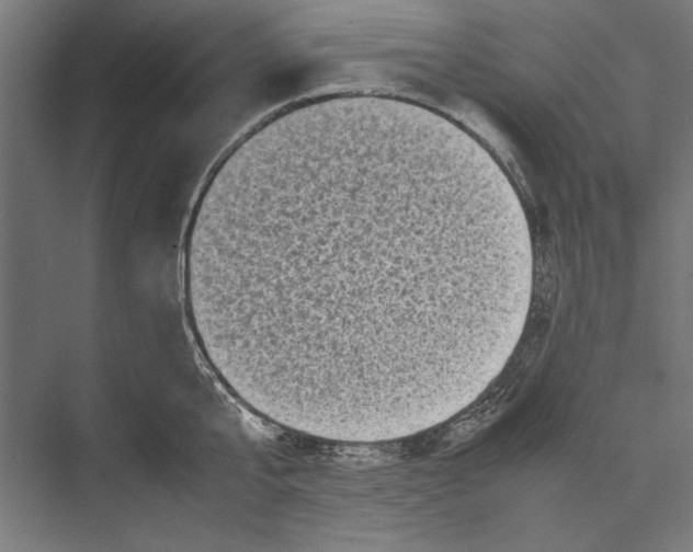 X0000075380807200610061837