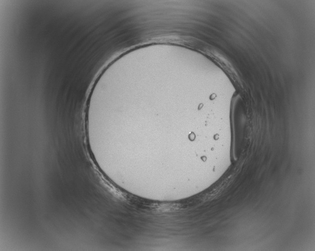 X0000075380808200610061837