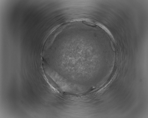 X0000075380809200610061837