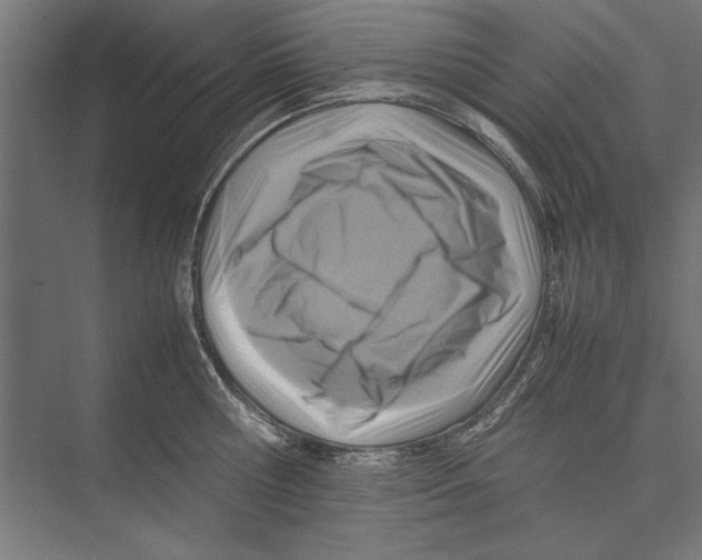 X0000075380810200610061837