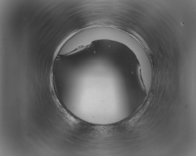 X0000075380812200610061837